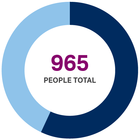 Houston donut chart showing 965 people served total.