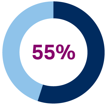 Donut chart showing 55%