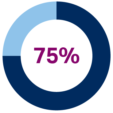 Donut chart showing 75%