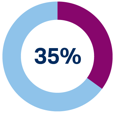 Donut chart showing 35%