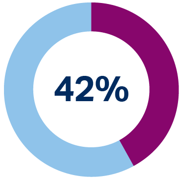 Donut chart showing 42%