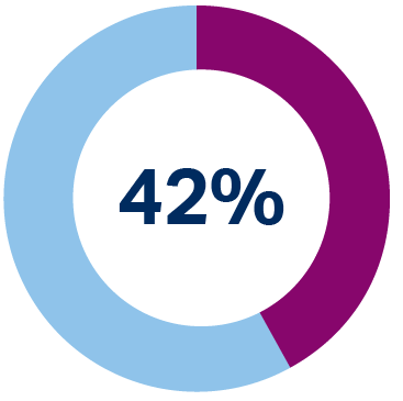 Donut chart showing 42%